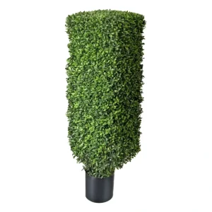 American Boxwood Square Column Topiary by Valerie - glamourwo.com | ladies' apparel & accessories & shoes* Clearance