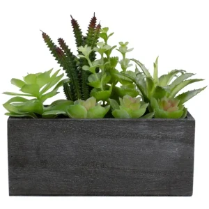 10" Artificial Mixed Succulent Plants in a Rectangular Planter - glamourwo.com | ladies' apparel & accessories & shoes* Best Sale