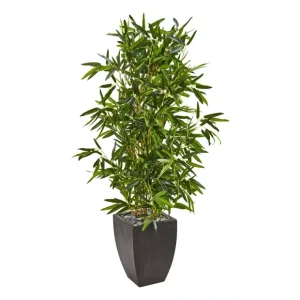 5' Bamboo Tree in Black Planter by Nearly Natural - glamourwo.com | ladies' apparel & accessories & shoes* Outlet