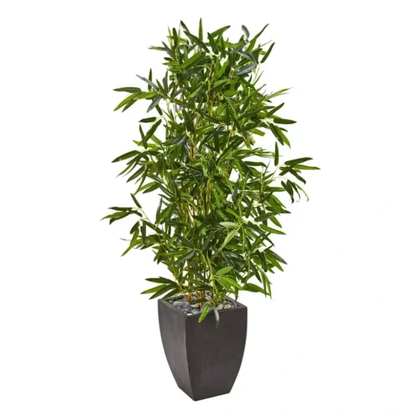 5' Bamboo Tree in Black Planter by Nearly Natural - glamourwo.com | ladies' apparel & accessories & shoes* Outlet