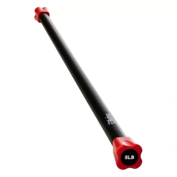 Bintiva 5lb Weighted Workout Bar - glamourwo.com | ladies' apparel & accessories & shoes* Discount