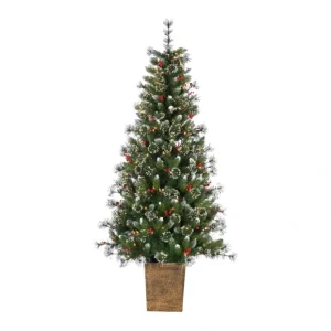 6'H Potted Hard/Mixed Needle Glazier Pine by Sterling Co - glamourwo.com | ladies' apparel & accessories & shoes* Cheap