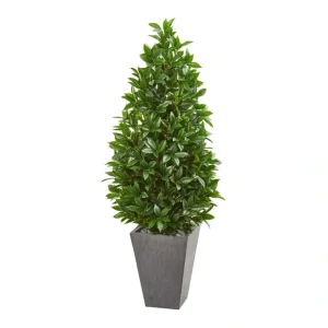 57in. Bay Leaf Cone Topiary in Planter (Indoor/Outdoor) - glamourwo.com | ladies' apparel & accessories & shoes* Store