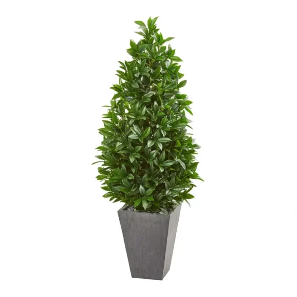 57in. Bay Leaf Cone Topiary in Planter (Indoor/Outdoor) - glamourwo.com | ladies' apparel & accessories & shoes* Store