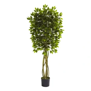 5-1/2' Indoor/Outdoor Ficus Tree by Nearly Natural - glamourwo.com | ladies' apparel & accessories & shoes* Online
