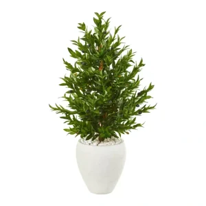 3.5' Olive Cone Topiary in Planter UV Resistant - glamourwo.com | ladies' apparel & accessories & shoes* Cheap