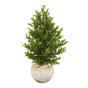 3' Olive Cone Topiary in Sandstone Planter - glamourwo.com | ladies' apparel & accessories & shoes* Best