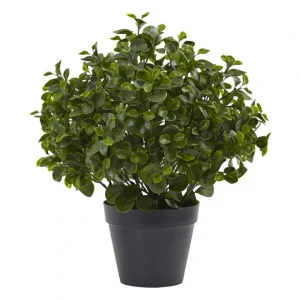 23" Peperomia Plant UV-Resistant by Nearly Natural - glamourwo.com | ladies' apparel & accessories & shoes* Online