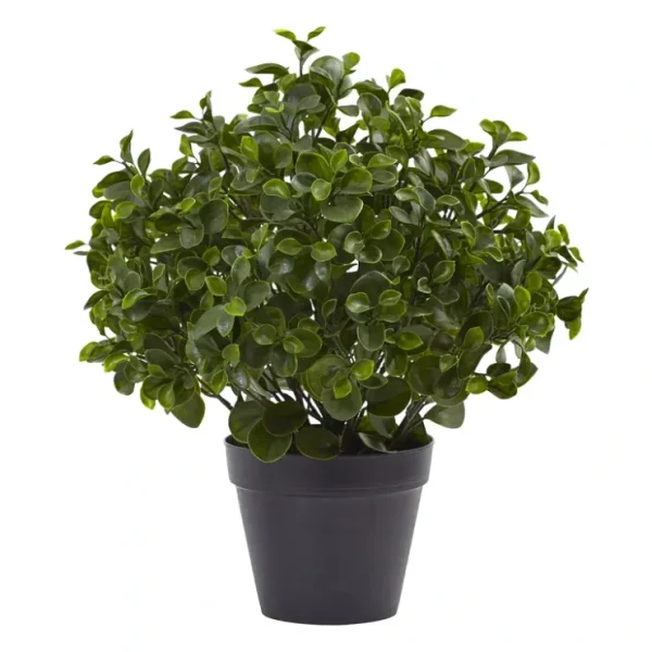 23" Peperomia Plant UV-Resistant by Nearly Natural - glamourwo.com | ladies' apparel & accessories & shoes* Online