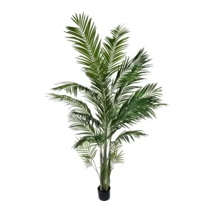7' Potted Areca Palm by Valerie - glamourwo.com | ladies' apparel & accessories & shoes* Online