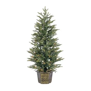 4.5' Potted Nat Cut Eastern Pine w/ 150 Lightsy Sterling Co - glamourwo.com | ladies' apparel & accessories & shoes* Fashion