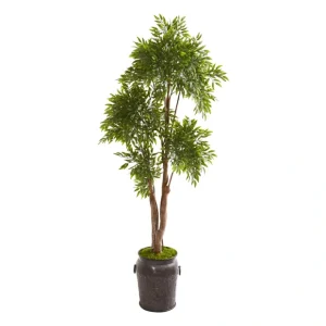 82" Ruscus Tree in Planter by Nearly Natural - glamourwo.com | ladies' apparel & accessories & shoes* Flash Sale