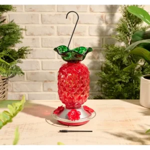 Ultimate Innovations Glass Bird Feeder w/ Moat - glamourwo.com | ladies' apparel & accessories & shoes* Cheap