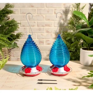 Ultimate Innovations S/2 Textured Glass Hummingbird Feeders - glamourwo.com | ladies' apparel & accessories & shoes | Shop