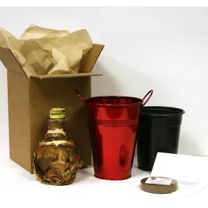 Van Zyverden Amaryllis Christmas Gift Artisan Decorative Pot - glamourwo.com | ladies' apparel & accessories & shoes | Shop
