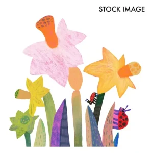 Van Zyverden Daffodils Gardening With Childeren Mixture 25ct - glamourwo.com | ladies' apparel & accessories & shoes | Outlet