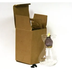 Van Zyverden Hyacinth Kit Red With Clear Artisan Glass - glamourwo.com | ladies' apparel & accessories & shoes | Online