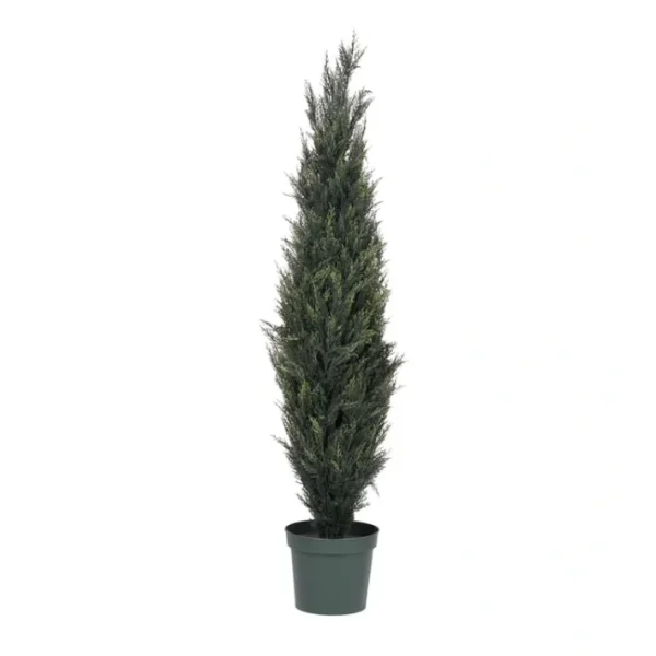 Vickerman 6' Pond Cypress Tree in Pot - glamourwo.com | ladies' apparel & accessories & shoes | Fashion