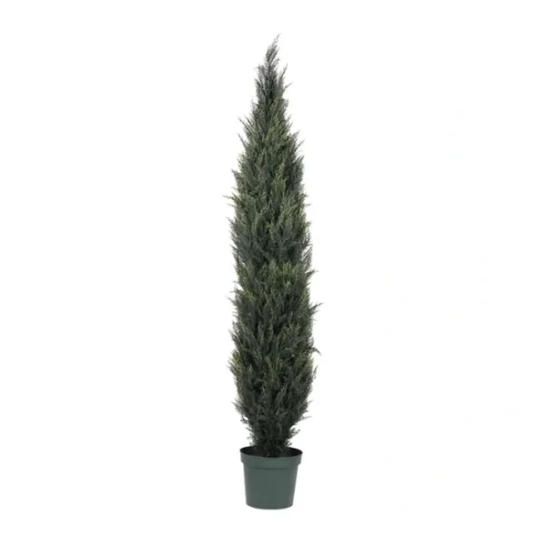 Vickerman 7' Pond Cypress Tree w in Pot - glamourwo.com | ladies' apparel & accessories & shoes | Best Sale