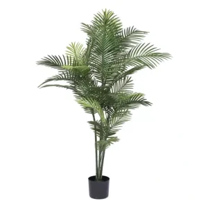 Vickerman 60" Robellini Palm Tree - glamourwo.com | ladies' apparel & accessories & shoes | Online