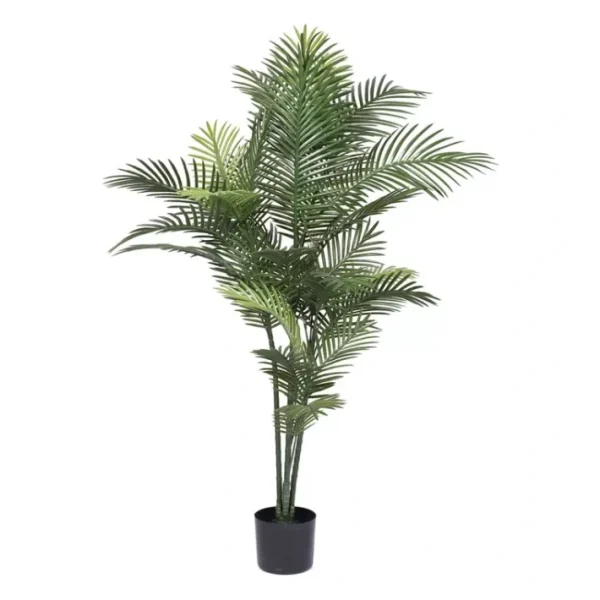 Vickerman 60" Robellini Palm Tree - glamourwo.com | ladies' apparel & accessories & shoes | Online