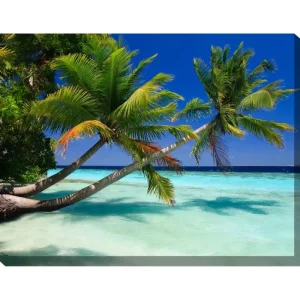 West of the Wind Outdoor Canvas Art Palms Duo 40" x 30" - glamourwo.com | ladies' apparel & accessories & shoes | Clearance