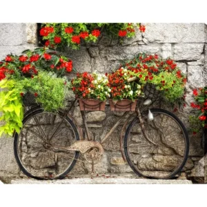 West of the Wind Outdoor Canvas Art Rusty Bicyclette 40" x 30 - glamourwo.com | ladies' apparel & accessories & shoes | Flash Sale