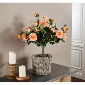 Wicker Park 27" Faux Indoor/Outdoor Rose Bush in Growers Pot - glamourwo.com | ladies' apparel & accessories & shoes | Cheap