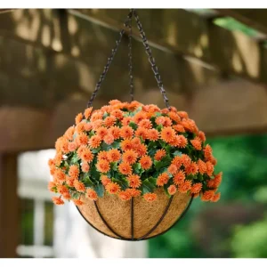 Wicker Park 14" Harvest Faux Mum Hanging Basket - glamourwo.com | ladies' apparel & accessories & shoes | Sale