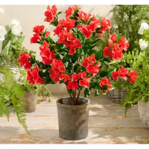 Wicker Park Faux Bougainvillea 2' Tree - glamourwo.com | ladies' apparel & accessories & shoes | Outlet