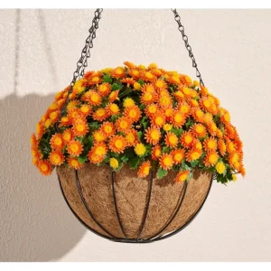 Wicker Park Harvest Faux Mum Hanging Basket - glamourwo.com | ladies' apparel & accessories & shoes* Cheap